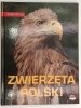 ZWIERZĘTA POLSKI - Sylwia Weber